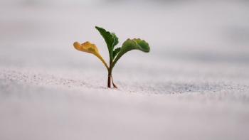 AACT SEED Project
